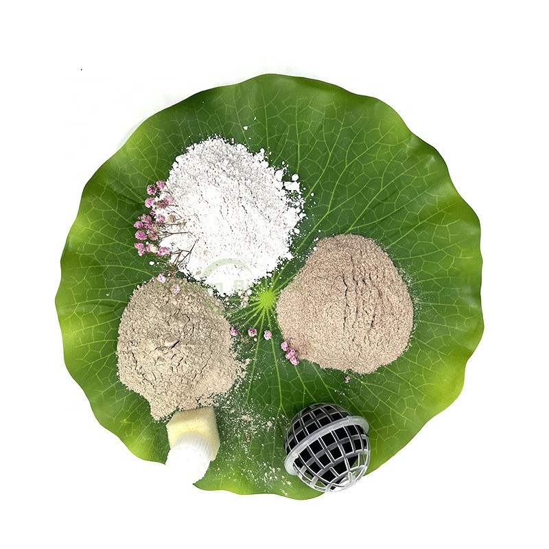 FUGU Denitrifying Bacteria Biological Treatment Agent Aquaculture Treatment Enzyme - 副本